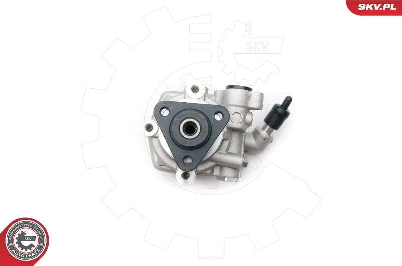 Hydraulic Pump, steering